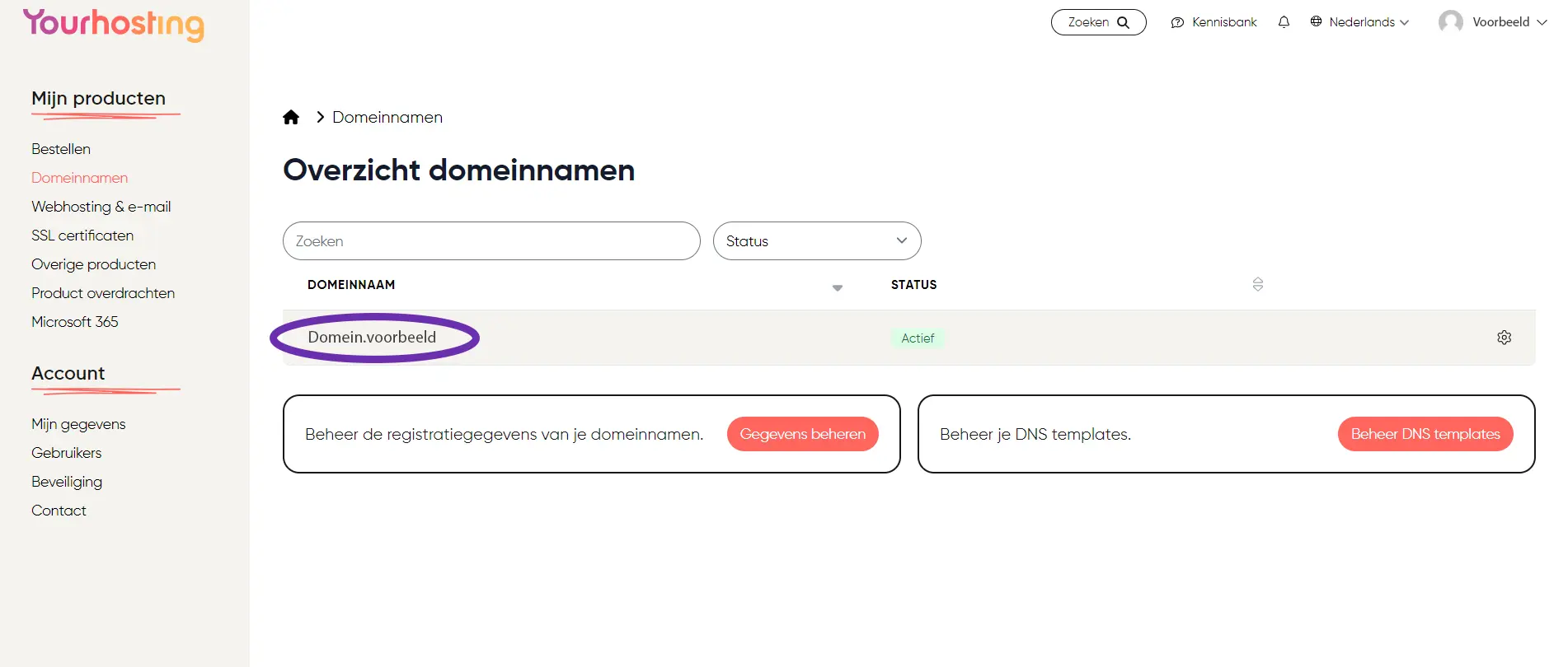 Yourhosting 2.webp