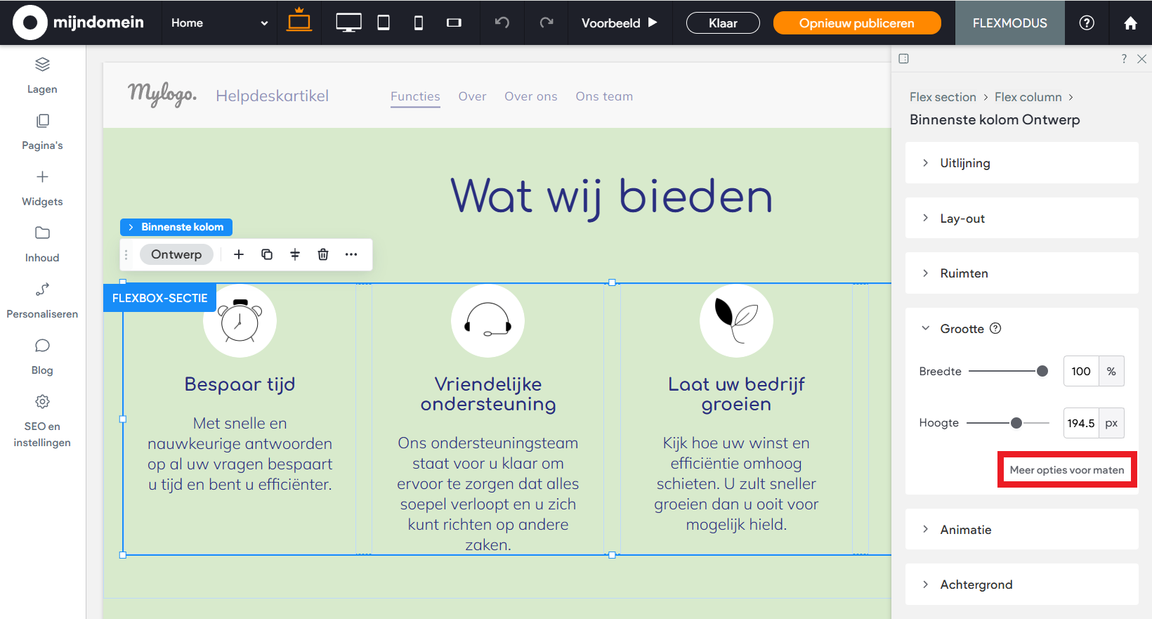 Websitemaker - Flexmodus - Grootte - Meer opties.png