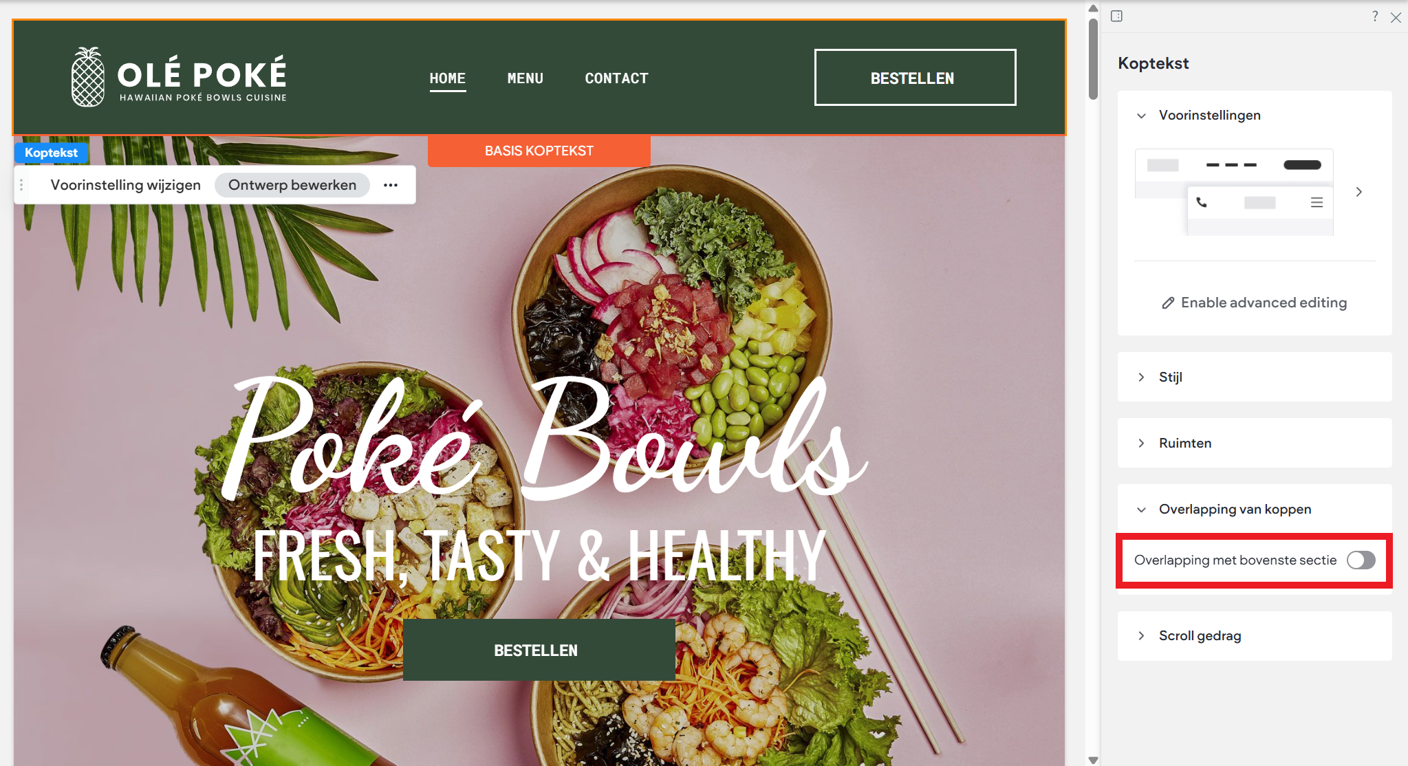 Websitemaker - Koptekst - Overlapping met bovenste sectie.png