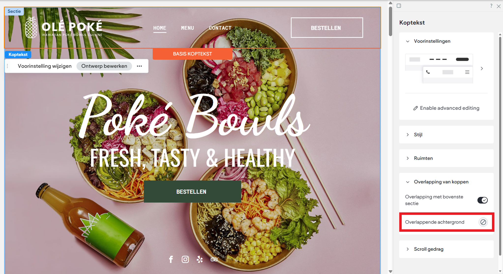 Websitemaker - Koptekst - Overlappende achtergrond.png