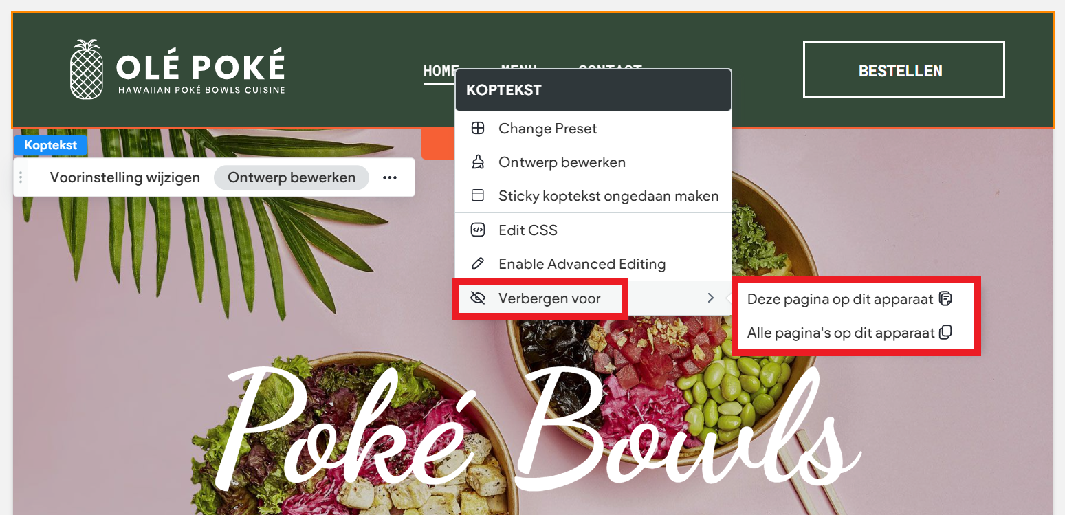 Websitemaker - Koptekst - Verbergen voor 2.png