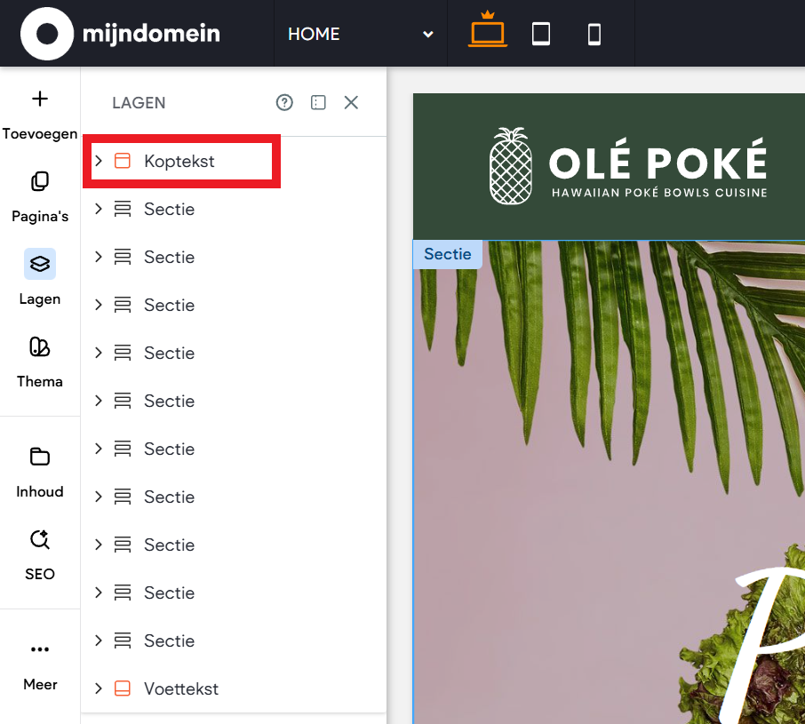 Websitemaker - Lagenpaneel - Koptekst.png