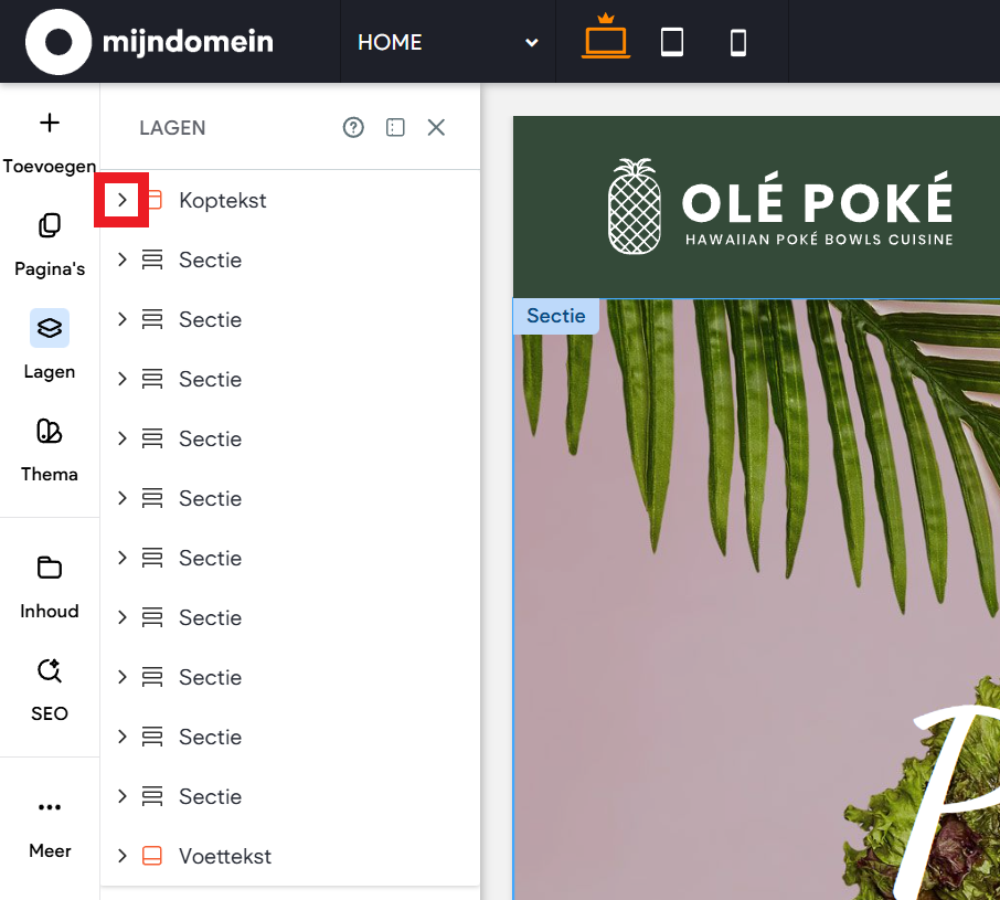 Websitemaker - Lagenpaneel - Koptekst pijltje.png
