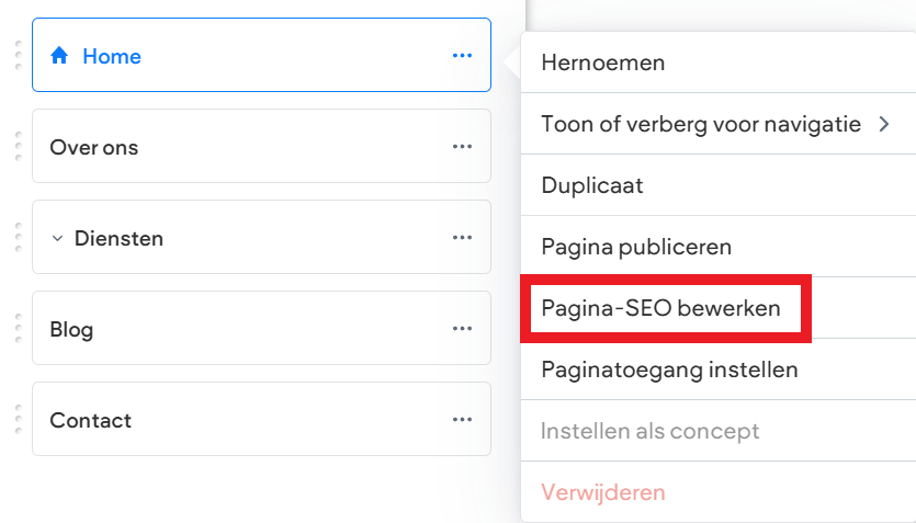 Websitemaker - Home - Pagina SEO.png